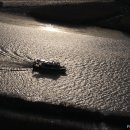 순천만의 추억 이미지