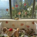 댕구르르 이미지