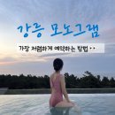 신라모노그램 강릉 호텔 수영장 5성급 오션뷰 신상 숙소 내돈내산 찐후기