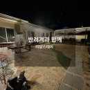 미담스테이