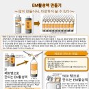 익산성모병원 이미지