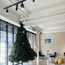 거  청 | 부천분위기좋은카페 부천 신중동 대형 카페 꿀카페 청밀당