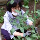 만복2차경로당 이미지