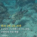 클럽마타하리 | 발리 5박 6일 일정 [5-6일차]｜누사페니다 스노쿨링, 꾸따 서핑 발리 액티비티