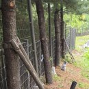 [도로]공구단지 삼거리1 | 아파트 단지 경계 울타리휀스 확장 설치 업체