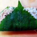 종이도시락 이미지