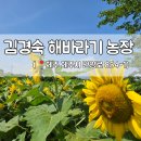 번영로농장 이미지