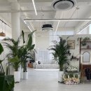 삼성전자 앞 | 수원성인취미미술 ✨ 삼성전자 앞에서 힐링하는 프라이빗 화실 후기 (퇴근 후/육아맘 추천)