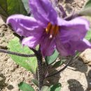 오디마을펜션 이미지