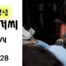홍대더서울타투 이미지