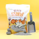 닥터드라이 | 발도장 없는 강아지 배변패드 마이펫닥터 프리미엄 매직 드라이 패드