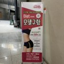 에소코핏화성 이미지