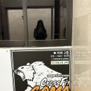 둔산중로32번길 | 대전 둔산동 크로스핏 고마 완전 힘들었던 리뷰