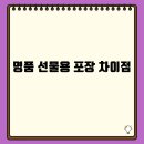 별패키지 티스토리