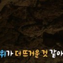 상록참숯가마찜질방 이미지