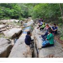 문경숲속정원 이미지