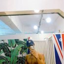파워태닝!