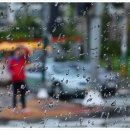 영창농원 이미지