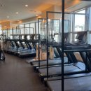 아바니핏 이미지