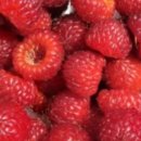 상동농장 이미지