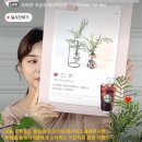 사회적협동조합사회적경제를이끄는공동체
