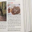 국내여행가이드북 에이든 국내여행 가이드북 2026-2027 개정증보3판 후기