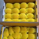 한진2농장 이미지