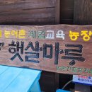 바다햇살마루