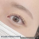 하트브로우