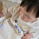 하이벨몽 이미지