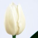 (주)소리안 이미지