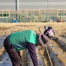 평동농장 이미지