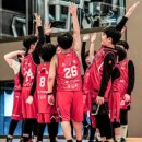 화랑체육관 | 2026 안산시 화랑배 전국유소년 농구대회 참가 후기