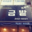 금밭미용실 - 수원시 영통구 | 금밭미용실