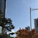 중앙도서관 2층 | 화성 동탄중앙도서관 개관!! 방문 후기 / 주차, 시설, 층별 안내도