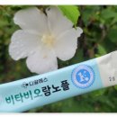 디알에스 K-낙산균 장건강 : 디알에스 비타비오람노플로 섭취해요