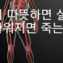 체온 이미지