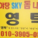 스카이 돔 나이트 이미지