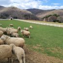 아인스캠핑월드 | &#34;6월에 아이랑 여기 안 가봤다고? 경기도 숨은 보물 BEST5!&#34;