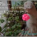 잠티 이미지