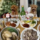 하늘과호수사이민박 | 강아지 데리고 떠난 포천 호수뷰 하늘과바람의호수 애견펜션에서 힐링하며 먹고 논 후기