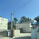 이스트 케이프 | 포항 풀빌라 추천 | 이스트케이프 501호 로얄스위트 내돈내산 후기 (프라이빗 온수풀+바다뷰)