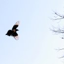 까치공원 조형물 이미지