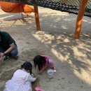 미나리어린이공원 이미지