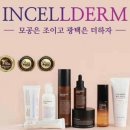 인셀덤 - 강남구 언주로107길 22 | 인셀덤