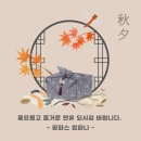 돌담컴퍼니