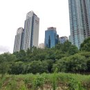 돌아본 공간 이미지