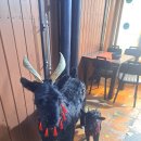 제일흑염소 | 부평시장역 맛집 제일흑염소 엄마랑 전골 먹고 온 후기!