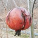 중석농장 이미지