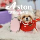 인동동물병원 | 대구 애견미용학원 수강 후기 🐶 왜 다들 애스톤을 선택할까?